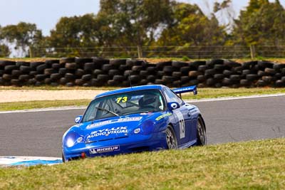 73;22-November-2008;Australia;Island-Magic;Melbourne;Michael-Lentini;PIARC;Phillip-Island;Porsche-996-GT3-Cup;Sports-Cars;VIC;Victoria;auto;motorsport;racing;super-telephoto