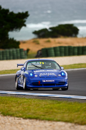 73;22-November-2008;Australia;Island-Magic;Melbourne;Michael-Lentini;PIARC;Phillip-Island;Porsche-996-GT3-Cup;Sports-Cars;VIC;Victoria;auto;motorsport;racing;super-telephoto