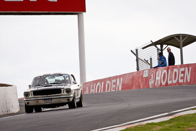 302;10-April-2009;1966-Ford-Mustang-Fastback;30366H;Australia;Bathurst;David-Livian;FOSC;Festival-of-Sporting-Cars;Mt-Panorama;NSW;New-South-Wales;Regularity;auto;motorsport;racing;super-telephoto