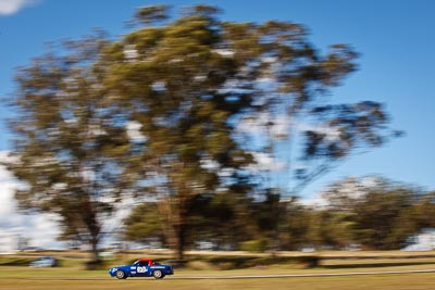 99;7-June-2009;Australia;Group-2A;Group-2B;Kevin-Brown;Mazda-MX‒5;Mazda-MX5;Mazda-Miata;Morgan-Park-Raceway;QLD;Queensland;Warwick;auto;motion-blur;motorsport;racing;telephoto