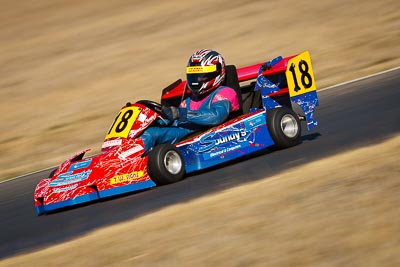 18;250-Int;8-August-2009;Australia;Morgan-Park-Raceway;QLD;Queensland;Shannons-Nationals;Superkarts;Warren-McIlveen;Warwick;auto;motorsport;racing;super-telephoto