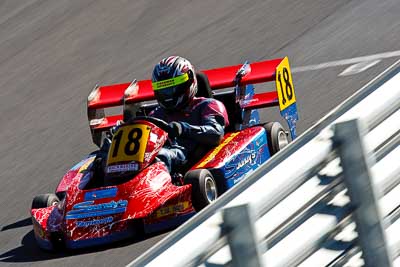 18;250-Int;9-August-2009;Australia;Morgan-Park-Raceway;QLD;Queensland;Shannons-Nationals;Superkarts;Warren-McIlveen;Warwick;auto;motorsport;racing;super-telephoto