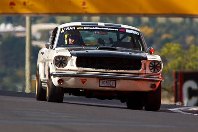 302;1966-Ford-Mustang-Fastback;3-April-2010;30366H;Australia;Bathurst;David-Livian;FOSC;Festival-of-Sporting-Cars;Mt-Panorama;NSW;New-South-Wales;Regularity;auto;motorsport;racing;super-telephoto