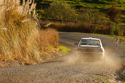 29;16-July-2011;29;APRC;Asia-Pacific-Rally-Championship;Cherish-Rally-Team;International-Rally-Of-Whangarei;Mitsubishi-Lancer-Evolution-IX;NZ;New-Zealand;Northland;Rally;Seiichiro-Taguchi;Shigeru-Ikeda;Whangarei;auto;garage;motorsport;racing;special-stage;super-telephoto