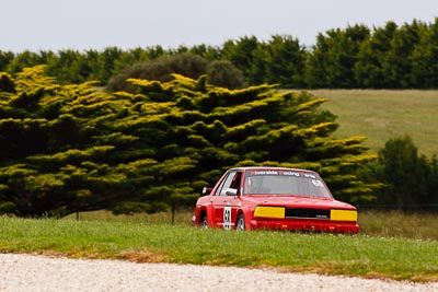 68;27-November-2011;68;Australia;David-Brown;Island-Magic;Melbourne;Nissan-Bluebird;PIARC;Phillip-Island;Sports-Sedans;VIC;Victoria;auto;motorsport;racing;super-telephoto