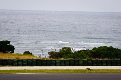 27-November-2011;Australia;Island-Magic;Melbourne;PIARC;Phillip-Island;VIC;Victoria;atmosphere;auto;landscape;motorsport;racing;scenery;super-telephoto