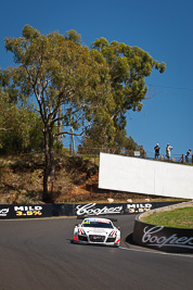 23;23;8-February-2013;Alain-Li;Audi-R8-LMS-Ultra;Australia;Bathurst;Bathurst-12-Hour;Brendon-Hartley;Grand-Tourer;Mark-Patterson;Mt-Panorama;NSW;New-South-Wales;The-Dipper;United-Autosports;auto;endurance;motorsport;racing;telephoto;trees