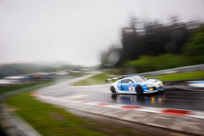 4;17-May-2013;24-Hour;4;Audi-R8-LMS-Ultra;Deutschland;Ferdinand-Stuck;Frank-Stippler;Germany;Hatzenbach;Johannes-Stuck;Michael-Ammermüller;Nordschleife;Nuerburg;Nuerburgring;Nurburg;Nurburgring;Nürburg;Nürburgring;Phoenix-Racing;Rhineland‒Palatinate;auto;motorsport;racing;telephoto;wide-angle