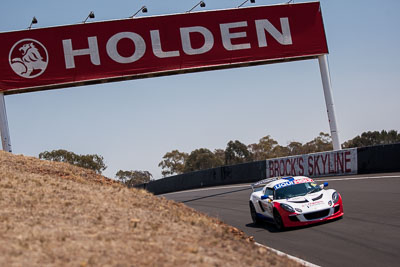 55;55;7-February-2014;Australia;Bathurst;Bathurst-12-Hour;Ben-Gower;Gordon-Shedden;Lotus-Exige-S;Motionsport;NSW;New-South-Wales;Pete-Storey;auto;endurance;motorsport;racing;telephoto