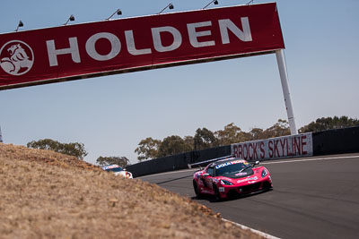 54;54;7-February-2014;Australia;Bathurst;Bathurst-12-Hour;Donut-King;Lotus-Exige-Cup-R;Mark-OConnor;NSW;New-South-Wales;Peter-Leemhuis;Tony-Alford;auto;endurance;motorsport;racing;telephoto