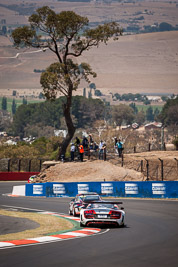 14;14;7-February-2014;Audi-R8-LMS;Australia;Bathurst;Bathurst-12-Hour;Kevin-Gleason;NSW;New-South-Wales;Oliver-Gavin;Richard-Meins;Rob-Huff;Rotek-Racing;auto;endurance;motorsport;racing;telephoto