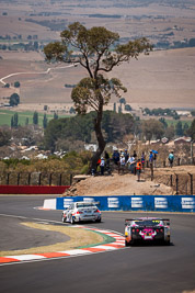 17;17;7-February-2014;Australia;Bathurst;Bathurst-12-Hour;Daniel-Gaunt;Ginetta-G50;Karl-Reindler;Mark-Griffiths;NSW;New-South-Wales;Spray-Booth-Services-Australia;auto;endurance;motorsport;racing;telephoto