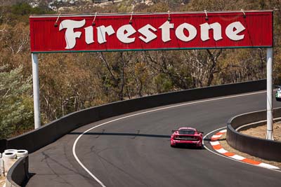 54;54;7-February-2014;Australia;Bathurst;Bathurst-12-Hour;Donut-King;Lotus-Exige-Cup-R;Mark-OConnor;NSW;New-South-Wales;Peter-Leemhuis;Tony-Alford;auto;endurance;motorsport;racing;telephoto