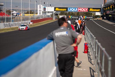 55;55;7-February-2014;Australia;Bathurst;Bathurst-12-Hour;Ben-Gower;Gordon-Shedden;Lotus-Exige-S;Motionsport;NSW;New-South-Wales;Pete-Storey;auto;endurance;motorsport;racing;telephoto