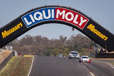 55;55;8-February-2014;Australia;Bathurst;Bathurst-12-Hour;Ben-Gower;Gordon-Shedden;Lotus-Exige-S;Motionsport;NSW;New-South-Wales;Pete-Storey;auto;endurance;motorsport;racing;super-telephoto