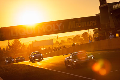 54;54;9-February-2014;Australia;Bathurst;Bathurst-12-Hour;Donut-King;Lotus-Exige-Cup-R;Mark-OConnor;NSW;New-South-Wales;Peter-Leemhuis;Tony-Alford;auto;endurance;motorsport;racing;sunrise;telephoto