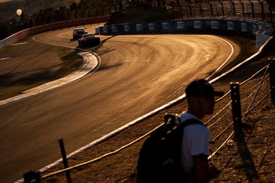 9;9;9-February-2014;Audi-R8-LMS-Ultra;Australia;Bathurst;Bathurst-12-Hour;Christopher-Mies;Marc-Cini;Mark-Eddy;NSW;Network-ClothingHallmarc;New-South-Wales;auto;endurance;motorsport;racing;telephoto