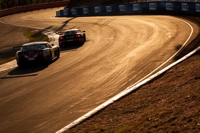 54;54;9-February-2014;Australia;Bathurst;Bathurst-12-Hour;Donut-King;Lotus-Exige-Cup-R;Mark-OConnor;NSW;New-South-Wales;Peter-Leemhuis;Tony-Alford;auto;endurance;motorsport;racing;telephoto