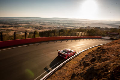 54;54;9-February-2014;Australia;Bathurst;Bathurst-12-Hour;Donut-King;Lotus-Exige-Cup-R;Mark-OConnor;NSW;New-South-Wales;Peter-Leemhuis;Tony-Alford;auto;endurance;motorsport;racing;wide-angle