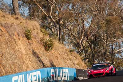 54;54;9-February-2014;Australia;Bathurst;Bathurst-12-Hour;Donut-King;Lotus-Exige-Cup-R;Mark-OConnor;NSW;New-South-Wales;Peter-Leemhuis;Tony-Alford;auto;endurance;motorsport;racing;super-telephoto