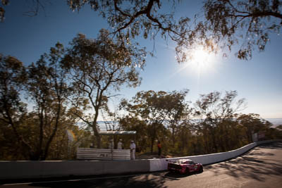 54;54;9-February-2014;Australia;Bathurst;Bathurst-12-Hour;Donut-King;Lotus-Exige-Cup-R;Mark-OConnor;NSW;New-South-Wales;Peter-Leemhuis;Tony-Alford;auto;endurance;motorsport;racing;sky;sun;wide-angle