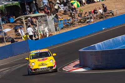 95;9-February-2014;Australia;Bathurst;Bathurst-12-Hour;Clyde-Campbell;Fiat-Abarth-500;Fiat-Abarth-Motorsport;Joshua-Dowling;NSW;New-South-Wales;Paul-Stokell;Toby-Hagon;auto;endurance;motorsport;racing;super-telephoto