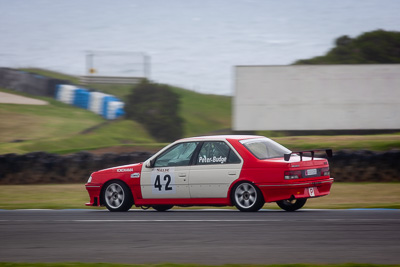 42;24-November-2018;42;Australia;Bryce-Peter‒Budge;Improved-Production;Island-Magic;Peugeot-405;Phillip-Island;Victoria;auto;motorsport;racing;super-telephoto