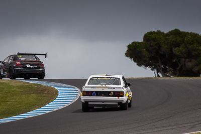 28;24-November-2018;28;Australia;Holden-SS-Hatchback;Island-Magic;Mark-Jewell;Phillip-Island;Sports-Sedans;Victoria;auto;motorsport;racing;super-telephoto