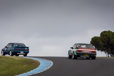 20;20;24-November-2018;Australia;Ford-Falcon-XE;Island-Magic;Mark-Durbin;Phillip-Island;Sports-Sedans;Victoria;auto;motorsport;racing;super-telephoto