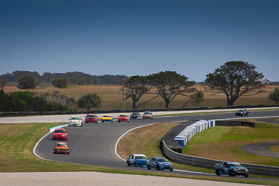 43;24-November-2018;43;Australia;Holden-Commodore-VE;Improved-Production;Island-Magic;Mathew-Logan;Phillip-Island;Victoria;auto;motorsport;racing;super-telephoto