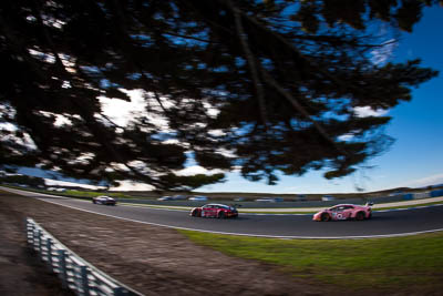 33;33;9-June-2019;AGT;Audi-R8-LMS;Australia;Australian-GT;Australian-GT-Championship;Grand-Tourer;Luke-Youlden;Perfect-Auto-Body;Phillip-Island;Shannons-Nationals;Victoria;Vince-Muriti;auto;fisheye;motorsport;racing