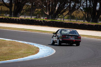 94;23-November-2019;94;Australia;David-Shaw;Ford-Falcon-XR6;Improved-Production;Island-Magic;Phillip-Island;VIC;Victoria;auto;motorsport;racing;super-telephoto