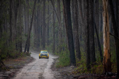 30-November-2019;Alpine-Rally;Australia;Demo-1;Ford-Escort;Gippsland;Joel-Perkins;John-Hadden;Rally;VIC;auto;classic;historic;motorsport;racing;special-stage;super-telephoto;vintage