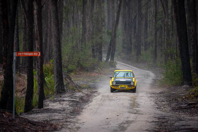 30-November-2019;Alpine-Rally;Australia;Demo-1;Ford-Escort;Gippsland;Joel-Perkins;John-Hadden;Rally;VIC;auto;classic;historic;motorsport;racing;special-stage;super-telephoto;vintage