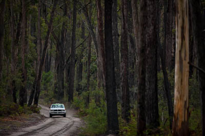 7;1979-Datsun-Stanza;30-November-2019;7;Alpine-Rally;Australia;C1;Datsun;Gippsland;Hugh-Reardon‒Smith;Rally;Ryan-Smart;VIC;auto;classic;historic;motorsport;racing;special-stage;super-telephoto;vintage