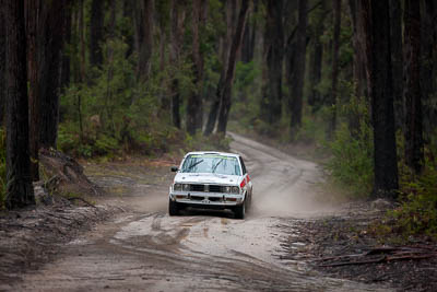 7;1979-Datsun-Stanza;30-November-2019;7;Alpine-Rally;Australia;C1;Datsun;Gippsland;Hugh-Reardon‒Smith;Rally;Ryan-Smart;VIC;auto;classic;historic;motorsport;racing;special-stage;super-telephoto;vintage