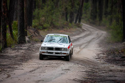 7;1979-Datsun-Stanza;30-November-2019;7;Alpine-Rally;Australia;C1;Datsun;Gippsland;Hugh-Reardon‒Smith;Rally;Ryan-Smart;VIC;auto;classic;historic;motorsport;racing;special-stage;super-telephoto;vintage