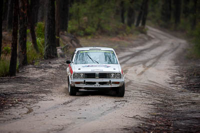 7;1979-Datsun-Stanza;30-November-2019;7;Alpine-Rally;Australia;C1;Datsun;Gippsland;Hugh-Reardon‒Smith;Rally;Ryan-Smart;VIC;auto;classic;historic;motorsport;racing;special-stage;super-telephoto;vintage