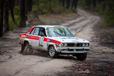 7;1979-Datsun-Stanza;30-November-2019;7;Alpine-Rally;Australia;C1;Datsun;Gippsland;Hugh-Reardon‒Smith;Rally;Ryan-Smart;VIC;auto;classic;historic;motorsport;racing;special-stage;super-telephoto;vintage