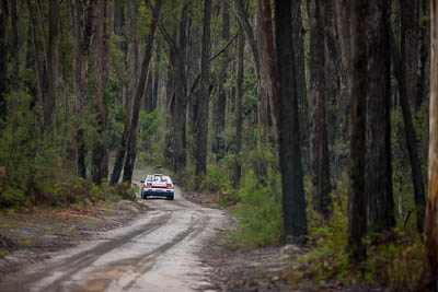 6;30-November-2019;6;Alan-Friend;Alpine-Rally;Australia;CRC;Gippsland;Michelle-Canning;Nissan;Nissan-Silvia;Rally;VIC;auto;classic;historic;motorsport;racing;special-stage;super-telephoto;vintage