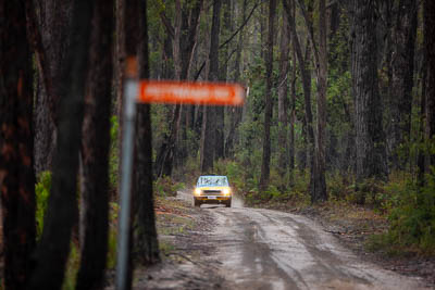 10;10;1971-Datsun-1600;30-November-2019;Alpine-Rally;Australia;CRC;Carl-Stewart;Datsun;Gippsland;Matthew-James;Rally;VIC;auto;classic;historic;motorsport;racing;special-stage;super-telephoto;vintage