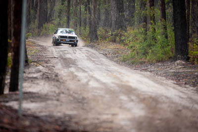 28;1979-Datsun-Stanza;28;30-November-2019;Alpine-Rally;Australia;C1;Darryn-Snooks;Datsun;Gippsland;Michael-Foreshew;Rally;VIC;auto;classic;historic;motorsport;racing;special-stage;super-telephoto;vintage