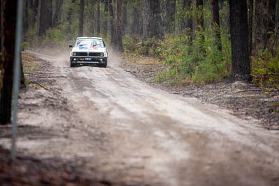 28;1979-Datsun-Stanza;28;30-November-2019;Alpine-Rally;Australia;C1;Darryn-Snooks;Datsun;Gippsland;Michael-Foreshew;Rally;VIC;auto;classic;historic;motorsport;racing;special-stage;super-telephoto;vintage