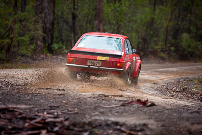 44;1979-Ford-RS1800-Escort;30-November-2019;44;Alpine-Rally;Australia;C1;Damian-Reed;Ford;Gippsland;Rally;VIC;Wayne-Mason;auto;classic;historic;motorsport;racing;special-stage;super-telephoto;vintage