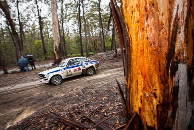 14;14;1976-Ford-Escort-RS1800;30-November-2019;Alpine-Rally;Australia;C1;Ford;Gippsland;Grant-Walker;Rally;Tracey-Dewhurst;VIC;auto;classic;historic;motorsport;racing;special-stage;vintage;wide-angle