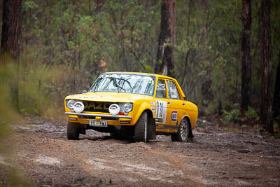 38;1970-Datsun-1600-Dazda;30-November-2019;38;Alpine-Rally;Australia;C3;Datsun;Gippsland;John-Ludlam;Michael-Wood;Rally;VIC;auto;classic;historic;motorsport;racing;special-stage;super-telephoto;vintage