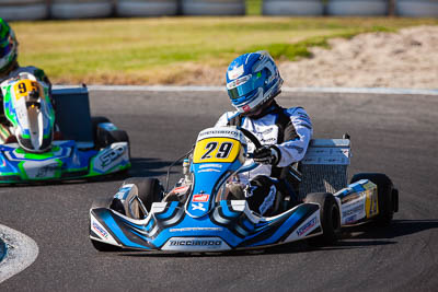 29;29;8-December-2019;Australia;Melbourne;Port-Melbourne;Ryan-Wood;TaG-125;TaG-Qualifying-Driver-A;VIC;auto;go‒kart;kart;karting;motorsport;racing;super-telephoto